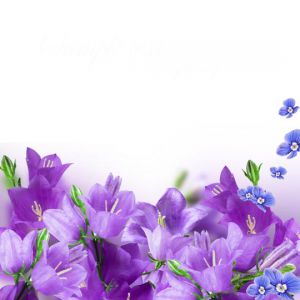 �����-16