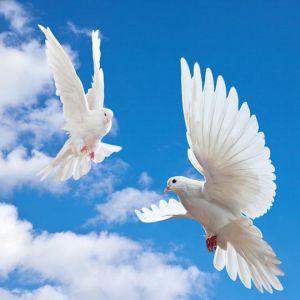 ������� � ����-22